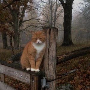 Meet your Posher, Kasper